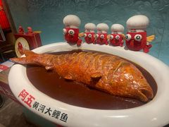 -阿五黄河大鲤鱼(英协路店)