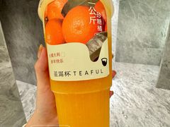 -星满杯TEAFUL(罗湖东门店)