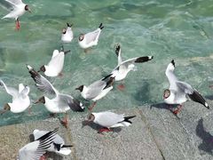-青海湖二郎剑景区