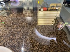 -青山上品咖啡·日式法兰绒手冲(高岛屋百货店)
