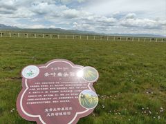 -花湖生态旅游区