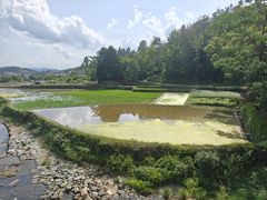 -天台山景区