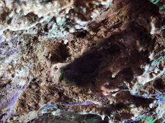 -陶祖圣境风景区