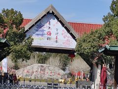 -上海海湾国家森林公园