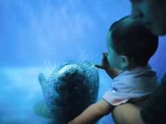 -成都浩海立方海洋公园