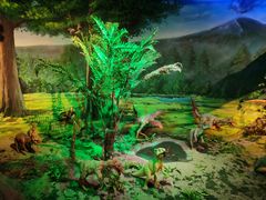 -安徽省地质博物馆