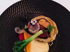 -蝶舍·MAISON PAPILLON