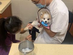 -艾贝尔宠物医院·24H转诊中心·肿瘤猫专科(江宁双龙店)