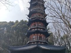 -上海佘山国家森林公园西佘山园