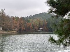 -四明山国家森林公园