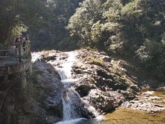 -九龙江国家森林公园