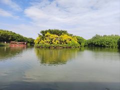 -大湾区中央湿地公园