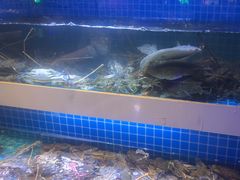 -花西亭·海鲜自助餐厅(瑞城名人酒店)