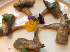 多春鱼-初花·日本料理