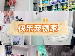 -爱洗澡的猫(望京店)