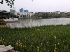 -西海子公园