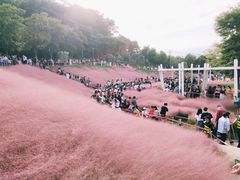-牛岗山公园