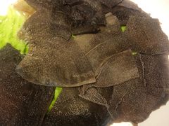 -川西坝子(老军营店)