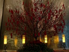 -广州天河希尔顿酒店