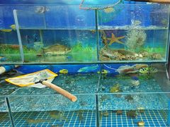 -牟记江湖重庆地标特色菜鱼蛋海鲜无刺鲫鱼(巴南区黑金冠十多年好店)