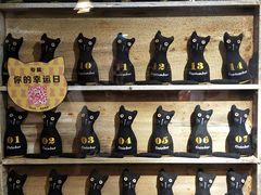 -猫咪博物馆(顶澳仔猫街店)