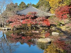 -醍醐寺