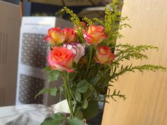 -O'eat Blossom&Pelican(深圳首店)