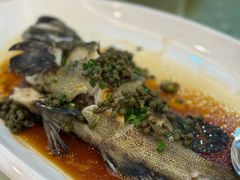 -新金盛·海鲜酒楼(盐田店)