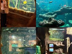 -长鹿旅游休博园