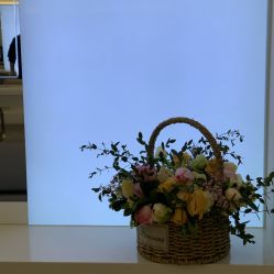 点击看大图 -霓·Hair