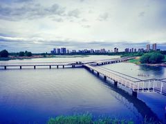 -哈尔滨大剧院