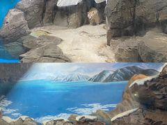 -海合安武汉极地海洋公园