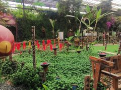 -呀路古热带植物园