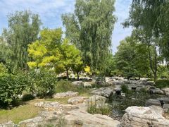 -莲花池公园