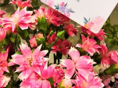 -花邻FloweringLife花艺气球派对(武康大楼店)
