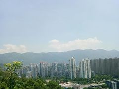 -金鸡山公园