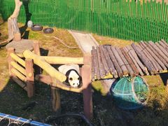 -沈阳森林动物园