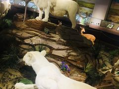 -陕西自然博物馆