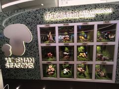 -芸山季·云南山珍菌火锅(南翔印象城MEGA店)