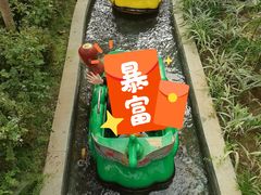 -南宫五洲植物乐园