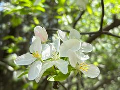 -郑州中国绿化博览园