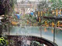 -正佳雨林生态植物园
