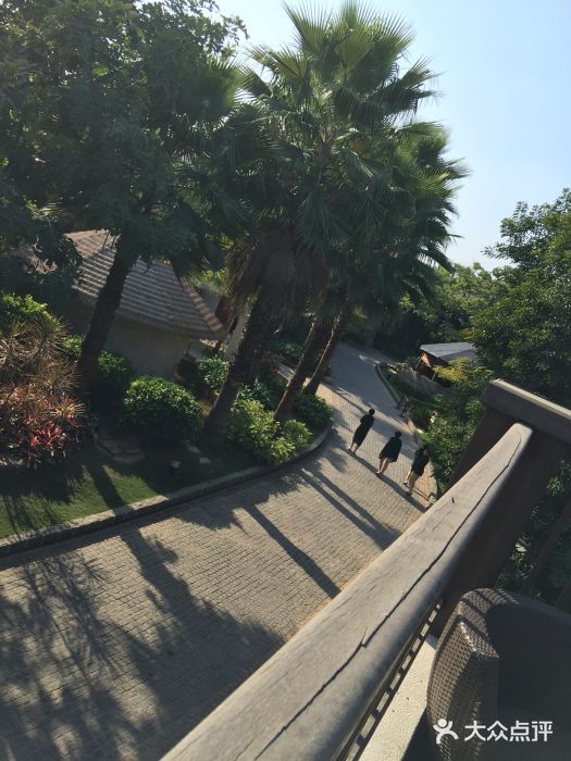 厦门日月谷温泉渡假村图片