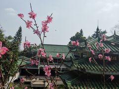 -叠彩山景区