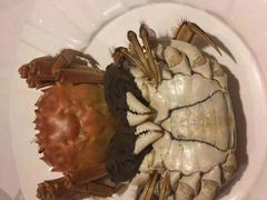 -新花城蟹粉馆(乌鲁木齐店)