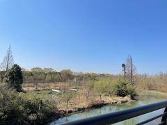 -广富林郊野公园