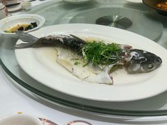 -稻香酒家·35年老字号(侨光店)
