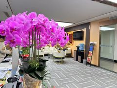 -嘉盛律师团队·法律咨询(上海广场店)