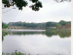 -东莞植物园