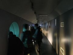 -白鹤梁水下博物馆